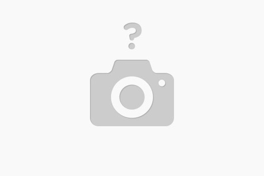Иллюстрация отсутствует